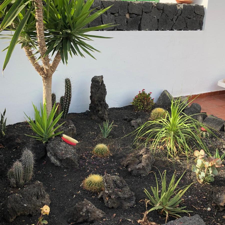 プエルト・カレロ Casa Yaizaヴィラ エクステリア 写真